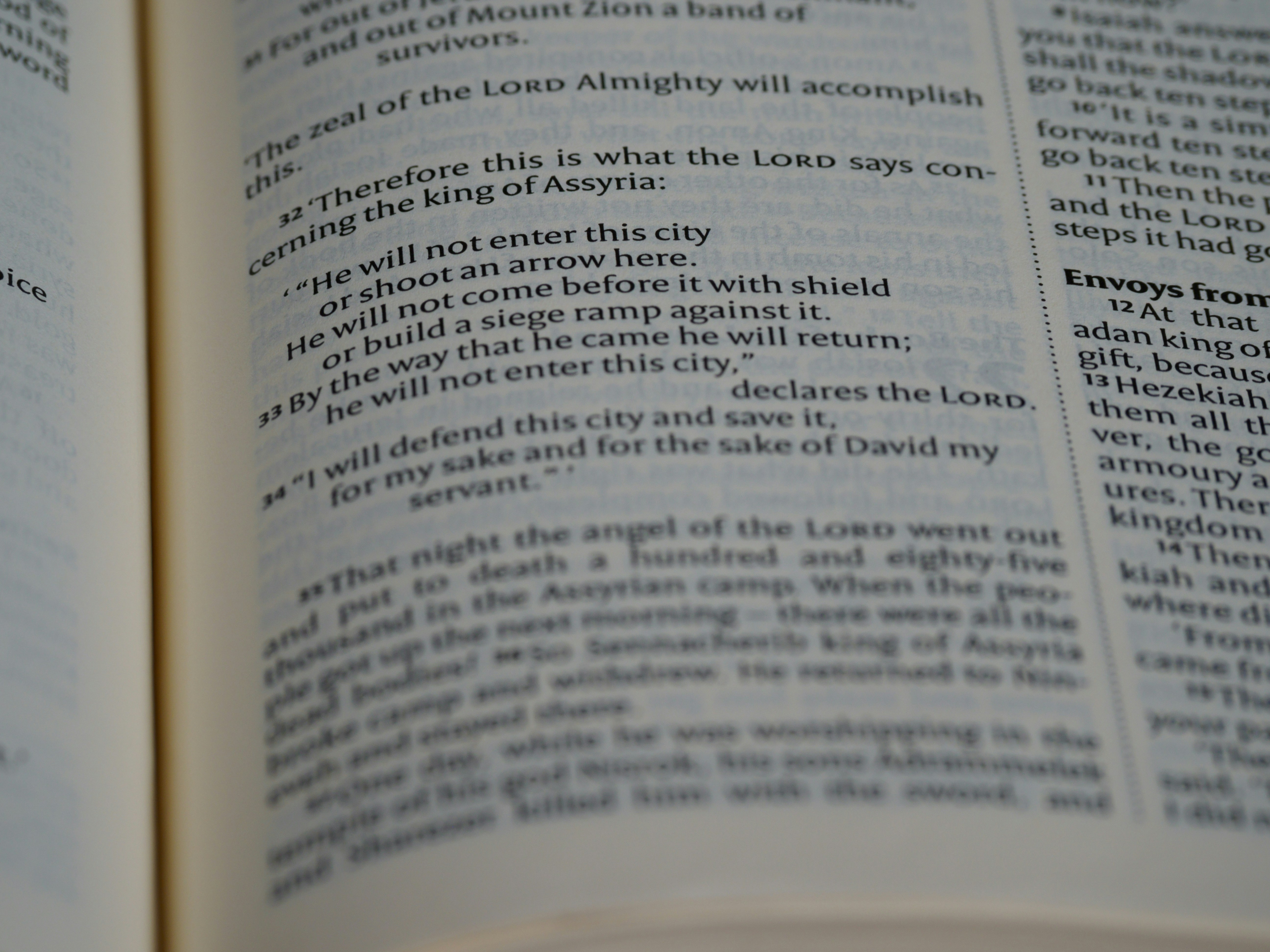 close up, bokeh, macro, blur, blurred background, close focus, bible, old testament, 2 kings, book of kings, kings, ספר מלכים, sêp̄er malḵîm, hebrew bible, destruction of judah, babylon, babylonian exile, Deuteronomistic history, a history of Israel, rabbinic literature, shavuot, christian, judaism, history, text, reading, bible study, devotions, text, NIV, New International Version, type, typography, canon, christianity, holy scripture, holy bible, scripture, tanakh, nevi'im, ketuvim, septuagint,<br>
